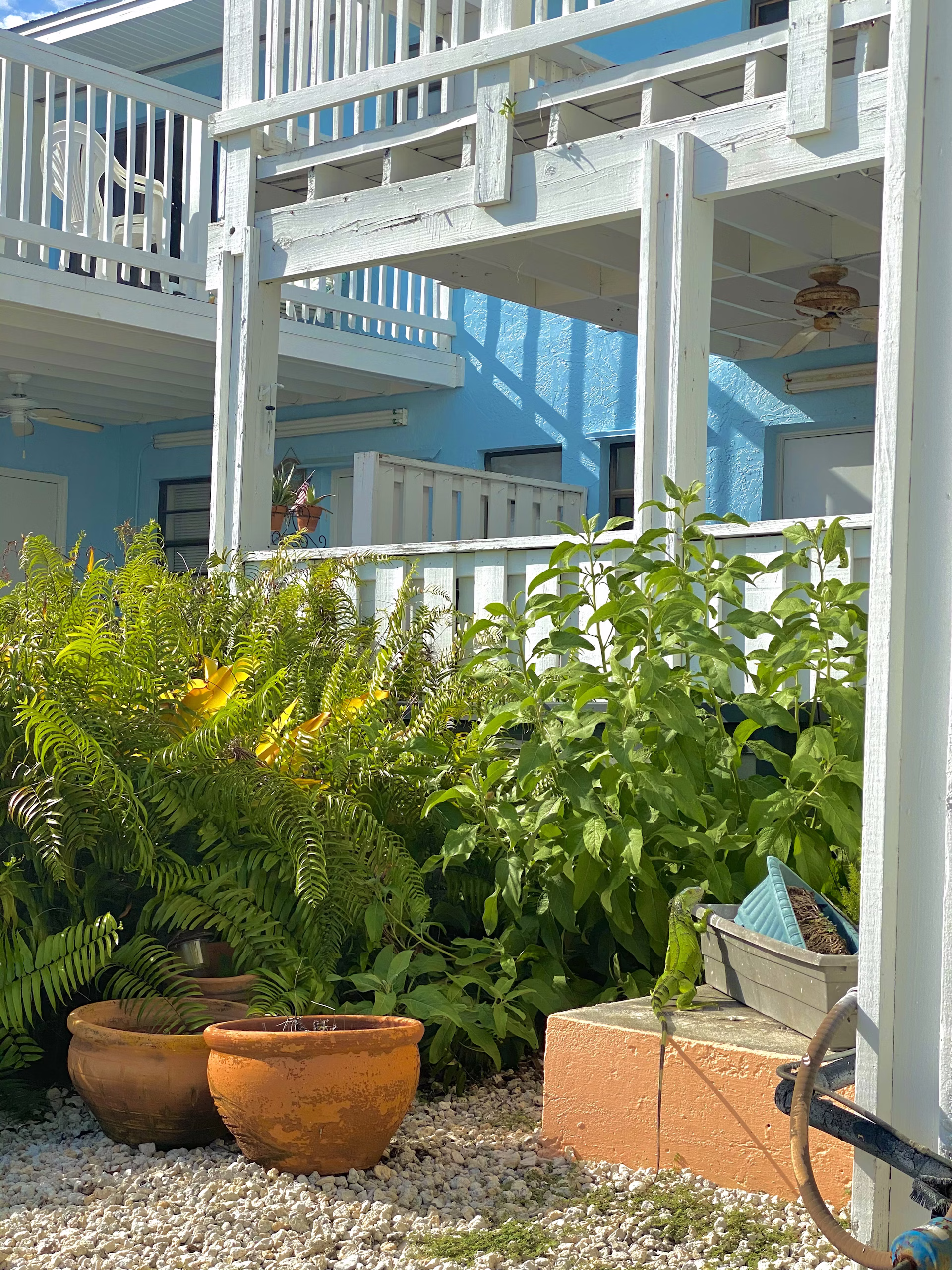 woman wearing yellow long-sleeved dress under white clouds and blue sky during daytime